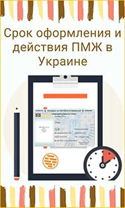 срок действия ПМЖ по браку